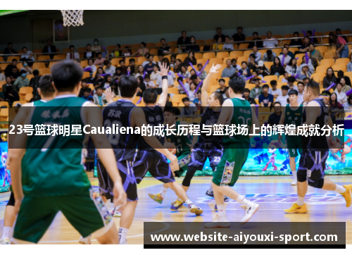 23号篮球明星Caualiena的成长历程与篮球场上的辉煌成就分析