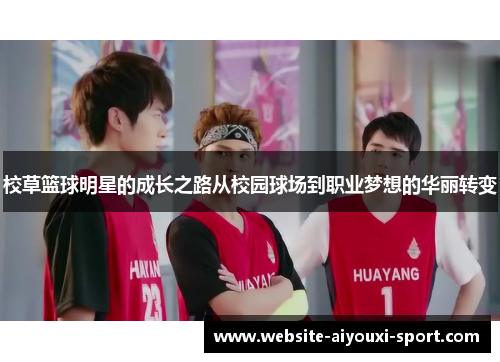 校草篮球明星的成长之路从校园球场到职业梦想的华丽转变