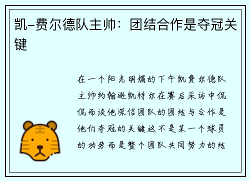 凯-费尔德队主帅：团结合作是夺冠关键